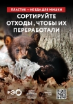 Seria 9 animal poster _A2_1
